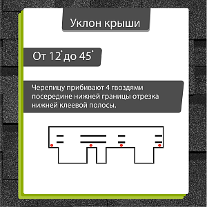 Купить Гибкая черепица Docke PIE PREMIUM Генуя 3м2/уп Ежевика в Южно-Сахалинске